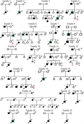 EXT1 and EXT2 Variants in 22 Chinese Families With Multiple Osteochondromas: Seven New Variants and Potentiation of Preimplantation Genetic Testing and Prenatal Diagnosis